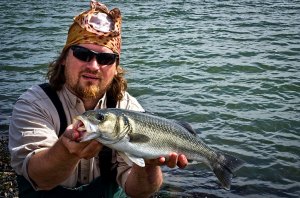 A Dungarvan bass caught on a Fiish Minnow
