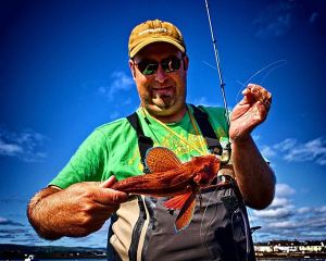 Gurnard on soft plastics with Kuba