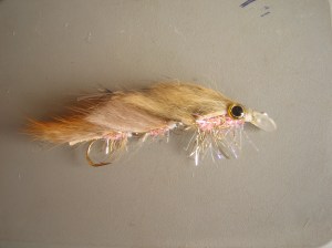 Articulated Zonker with diving vane