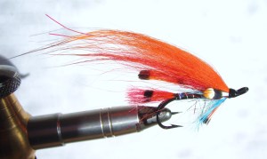Orange tippet 