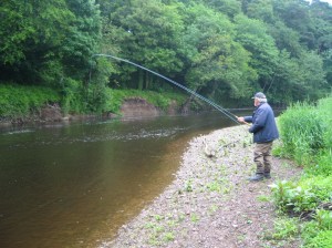 Conie does it again.