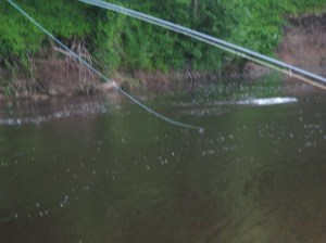 A nice take and lift into the fish.