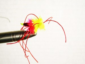 Hot Coral/Yellow Tarantula