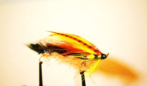 Cascade Salmon Snake