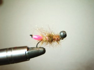 Pink Peeking Caddis