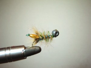 Gold Peeping Caddis