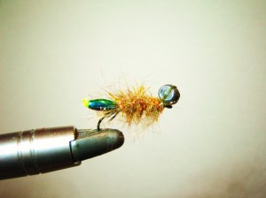 Rainbow Bead Peeping Caddis