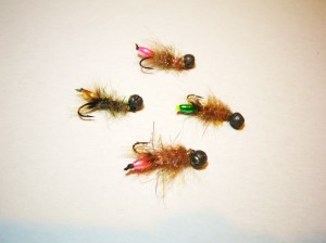 Oval bead Peeping Caddis selection