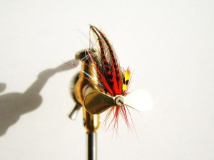 Propeller blade at front!