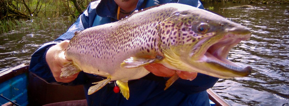 Game Fishing Ireland