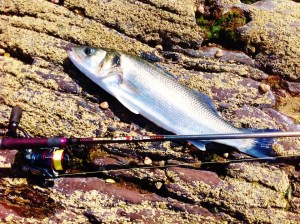 Facebook-20140627-070612