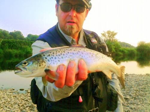 Blackwater Seatrout