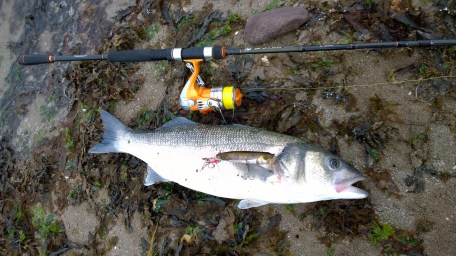 WP_20140923_15_43_52_Pro