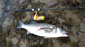 WP_20140923_15_43_52_Pro