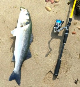 Cracker for Mark from Dublin