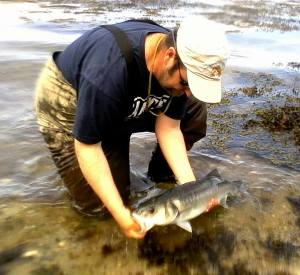 13315541_948161631967401_2607224893024894230_n