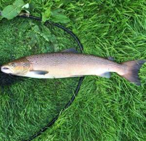 received_10206834768049215