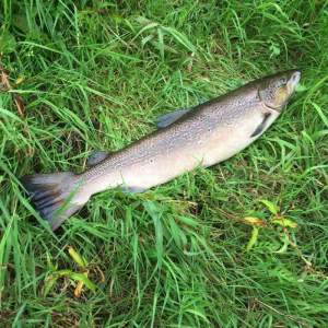 received_10206835482827084