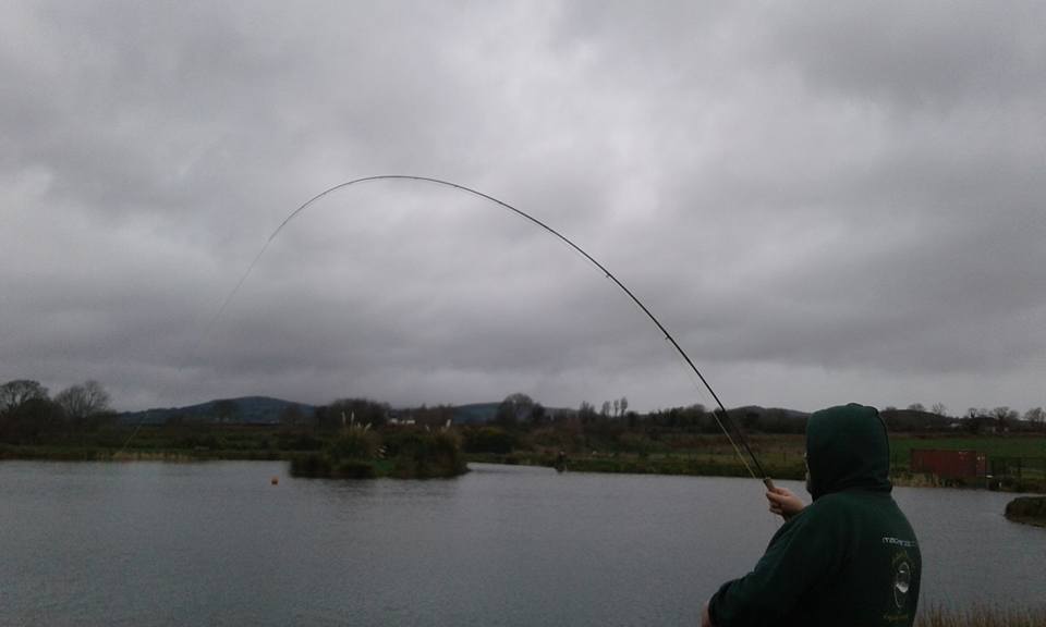 Great Fishing on the Munster Blackwater, plenty of bigger fish about